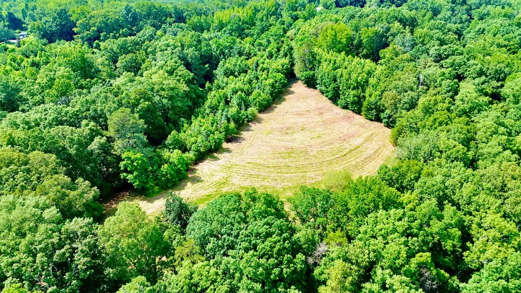 0 Bailey Road Double Springs AL 35553