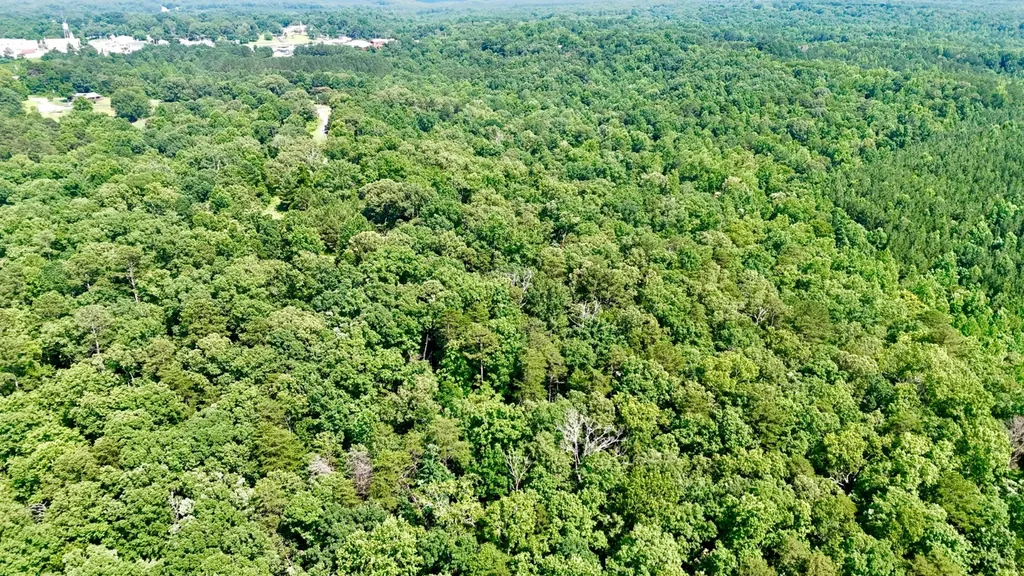 0 Bailey Road Double Springs AL 35553