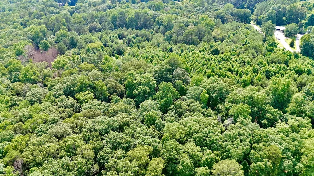 0 Bailey Road Double Springs AL 35553