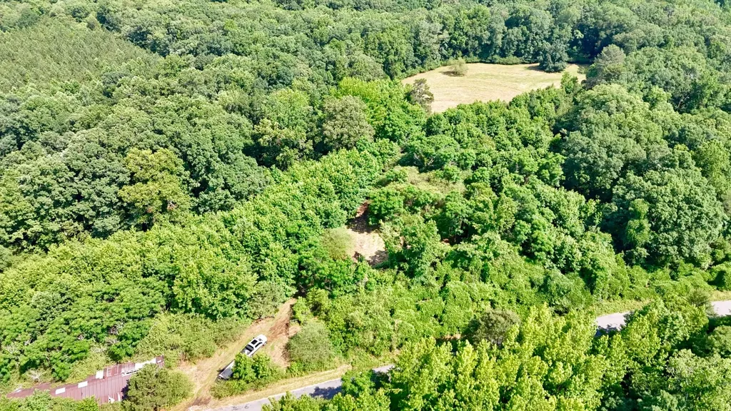 0 Bailey Road Double Springs AL 35553