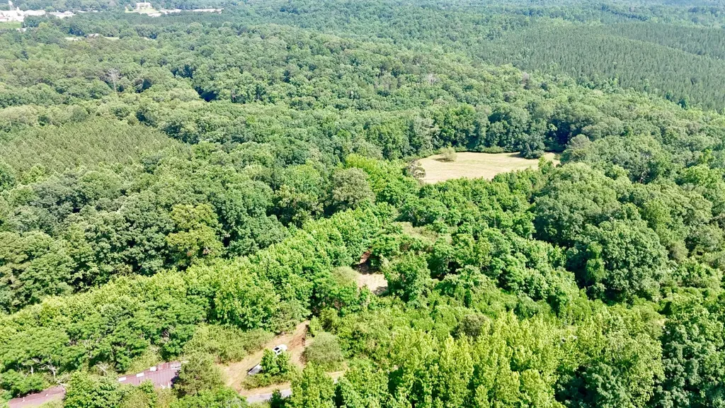 0 Bailey Road Double Springs AL 35553