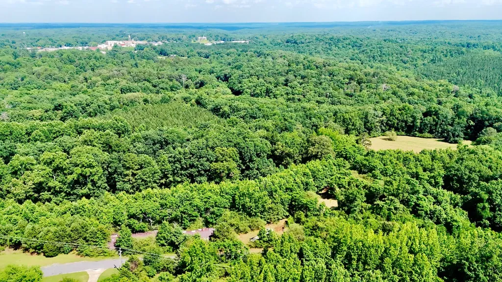 0 Bailey Road Double Springs AL 35553