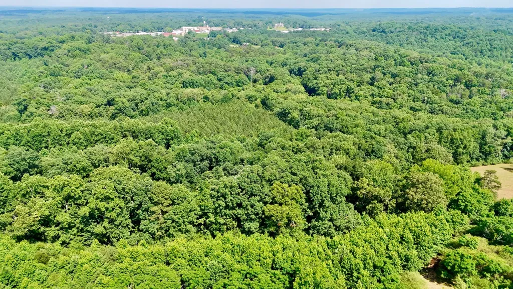 0 Bailey Road Double Springs AL 35553