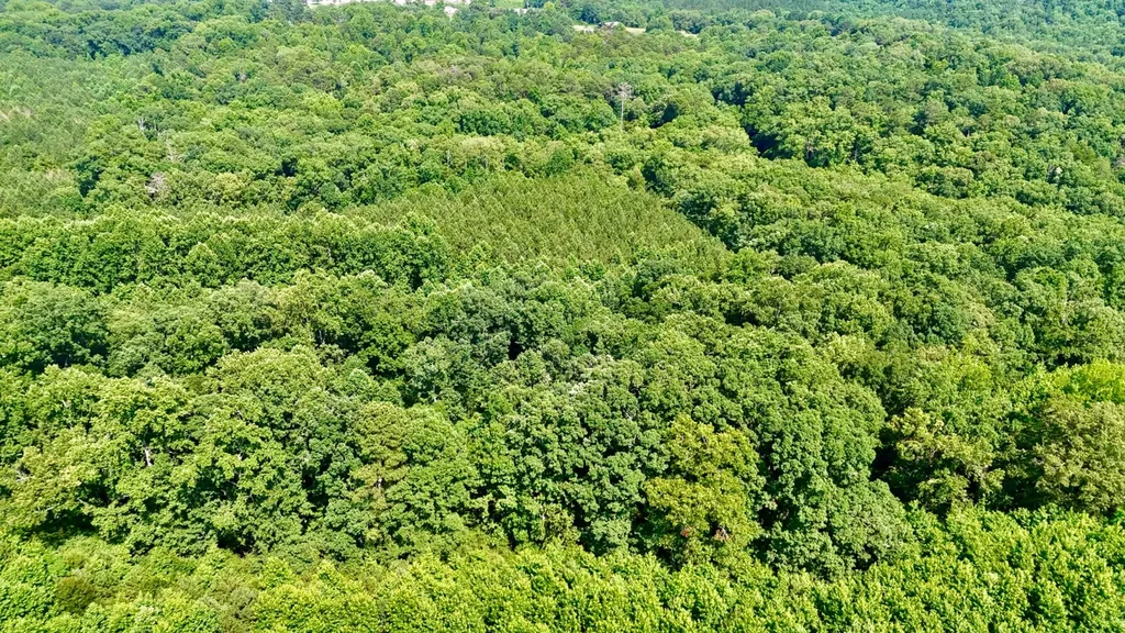 0 Bailey Road Double Springs AL 35553