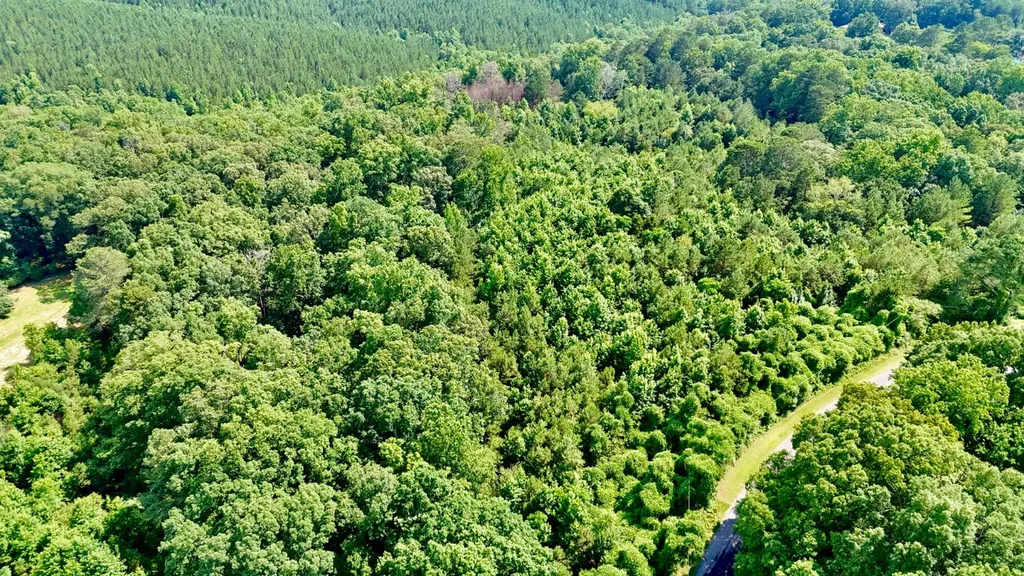 0 Bailey Road Double Springs AL 35553