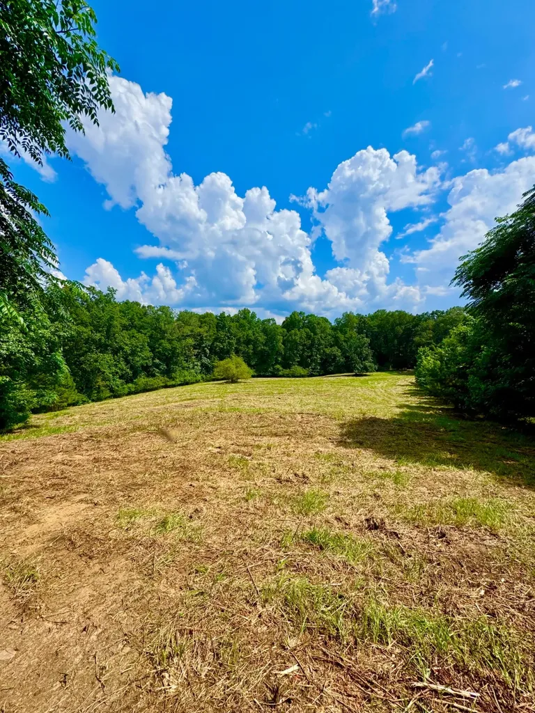 0 Bailey Road Double Springs AL 35553