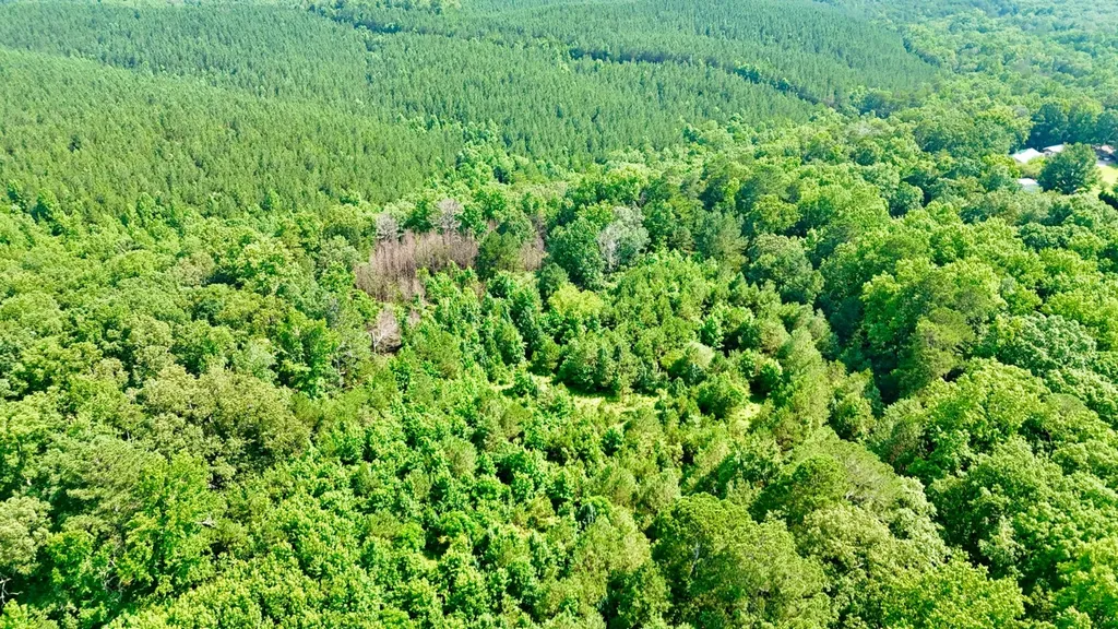 0 Bailey Road Double Springs AL 35553