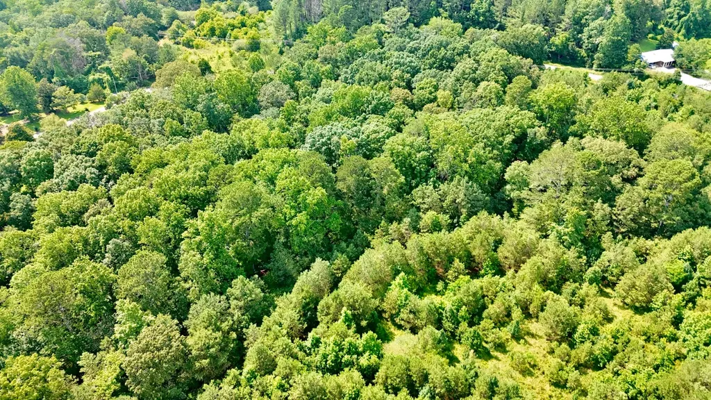 0 Bailey Road Double Springs AL 35553