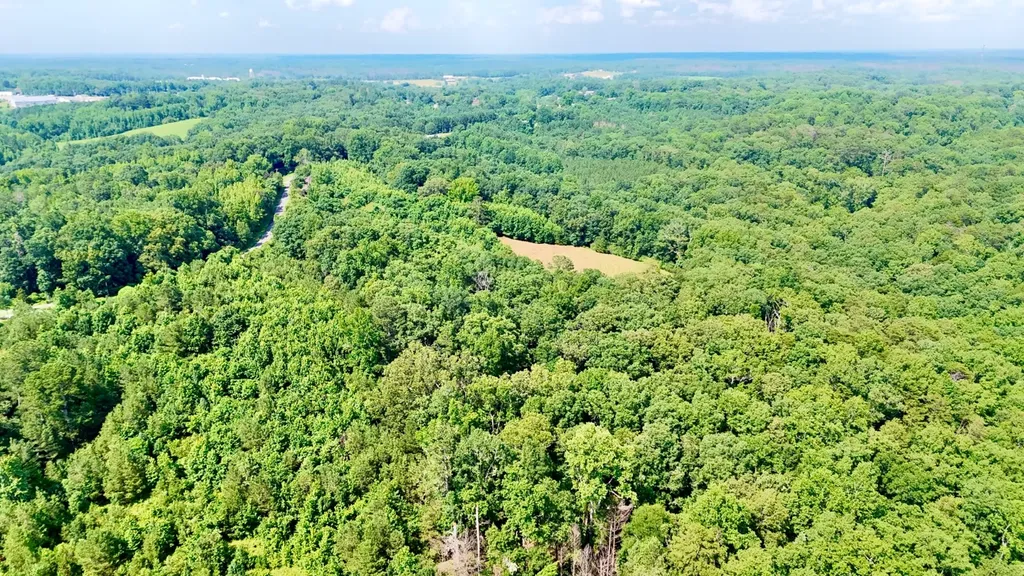 0 Bailey Road Double Springs AL 35553