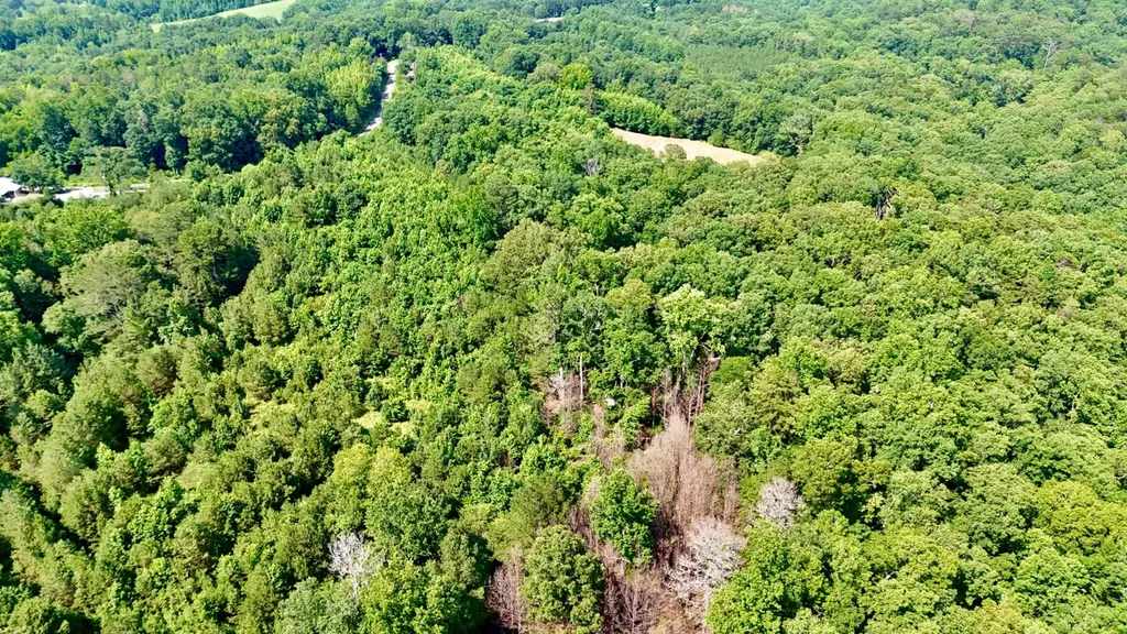 0 Bailey Road Double Springs AL 35553