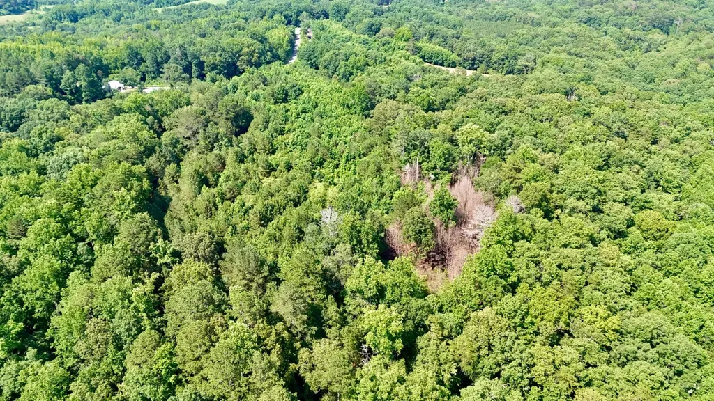 0 Bailey Road Double Springs AL 35553