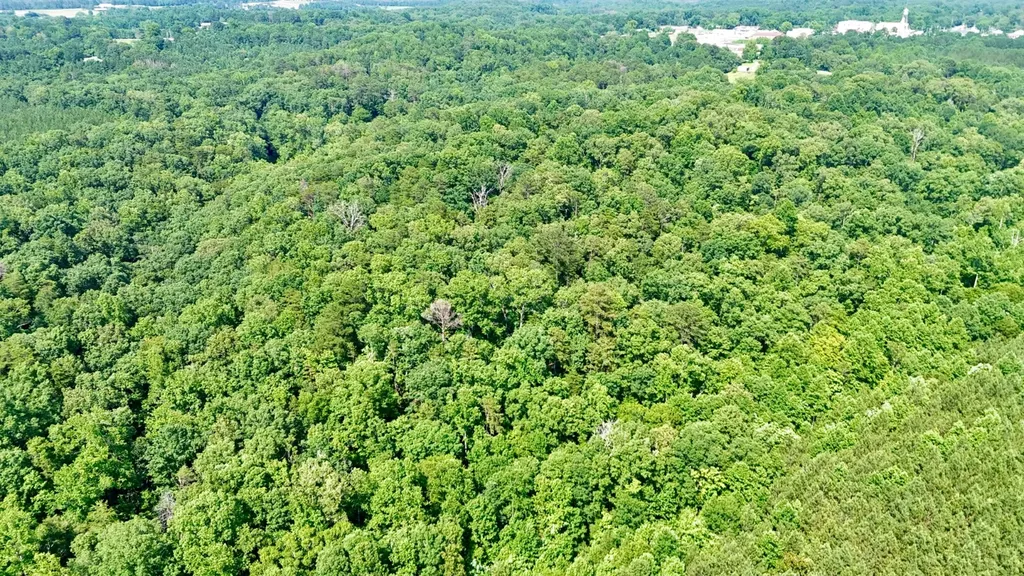 0 Bailey Road Double Springs AL 35553