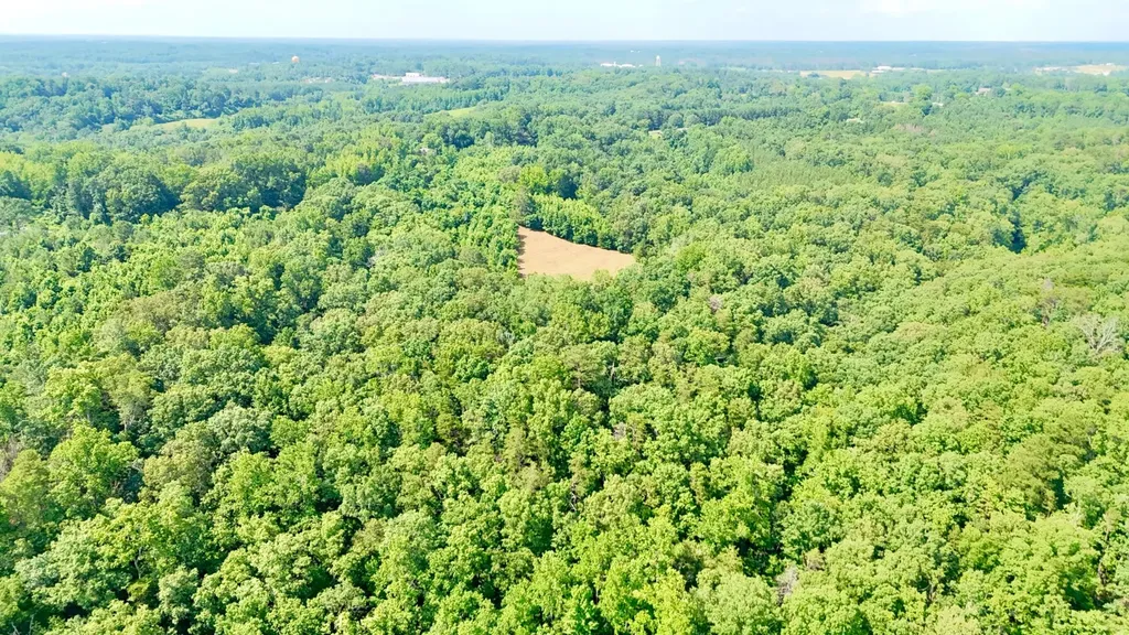 0 Bailey Road Double Springs AL 35553