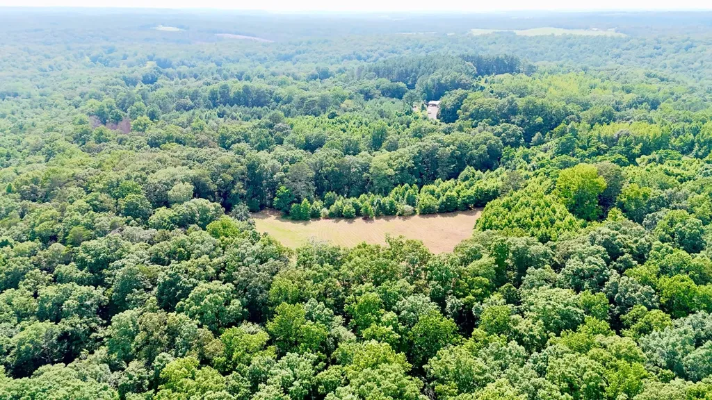 0 Bailey Road Double Springs AL 35553