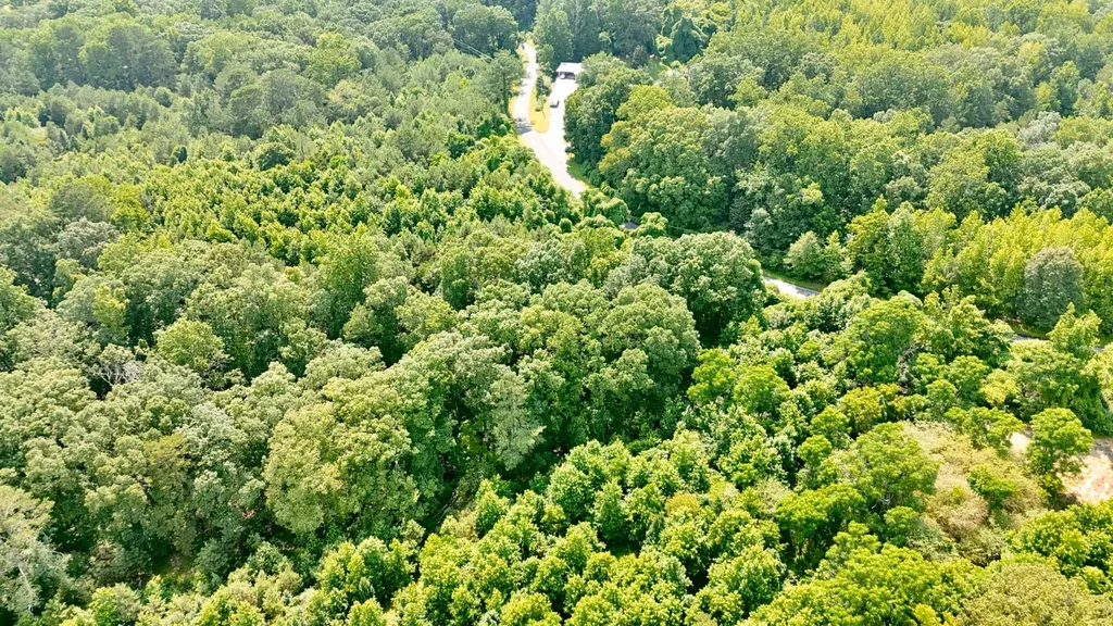 0 Bailey Road Double Springs AL 35553