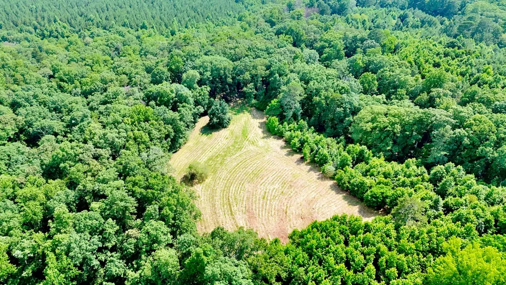 0 Bailey Road Double Springs AL 35553