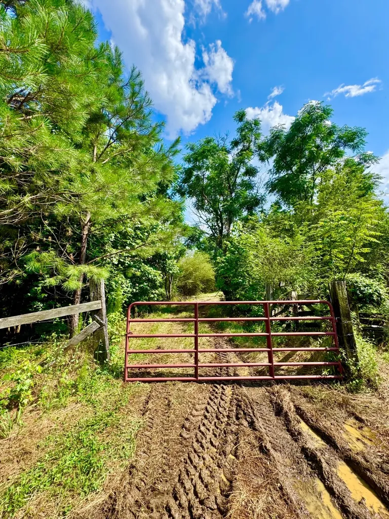 0 Bailey Road Double Springs AL 35553