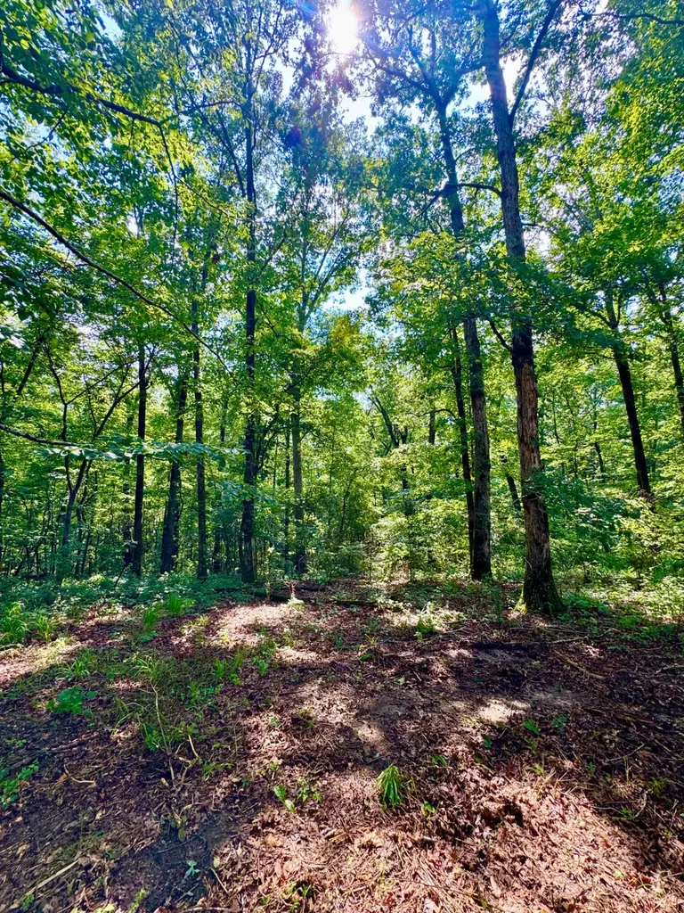 0 Bailey Road Double Springs AL 35553