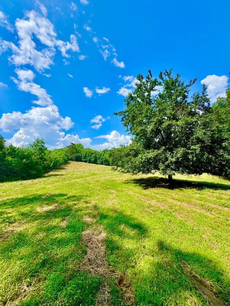 0 Bailey Road Double Springs AL 35553