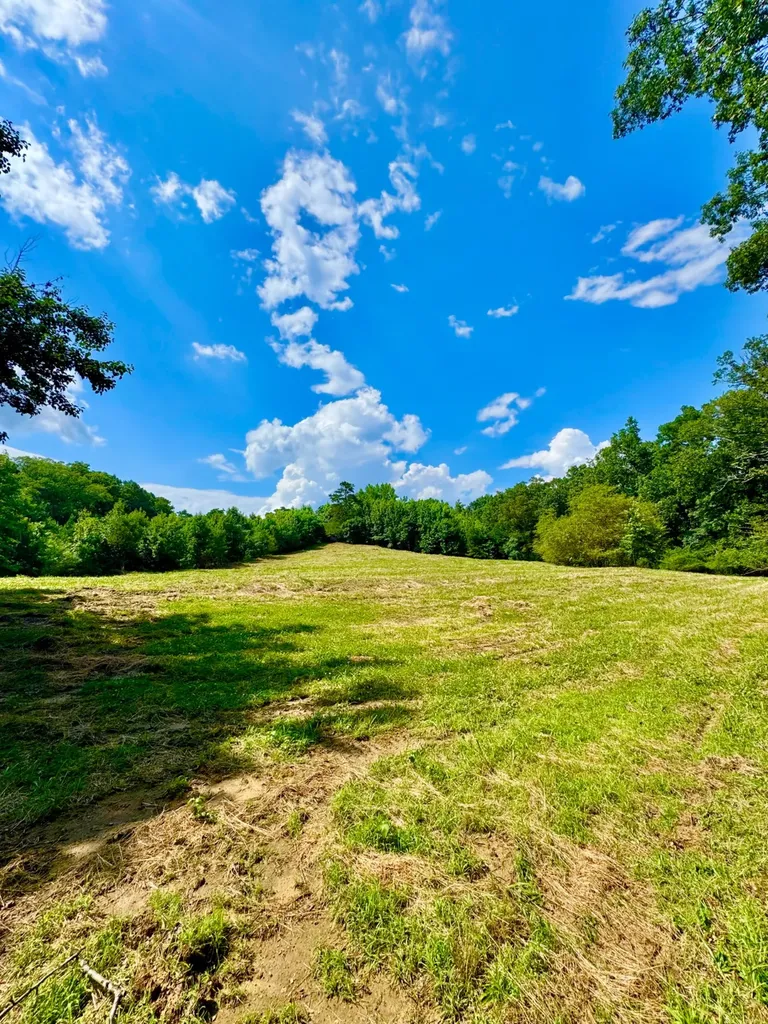 0 Bailey Road Double Springs AL 35553