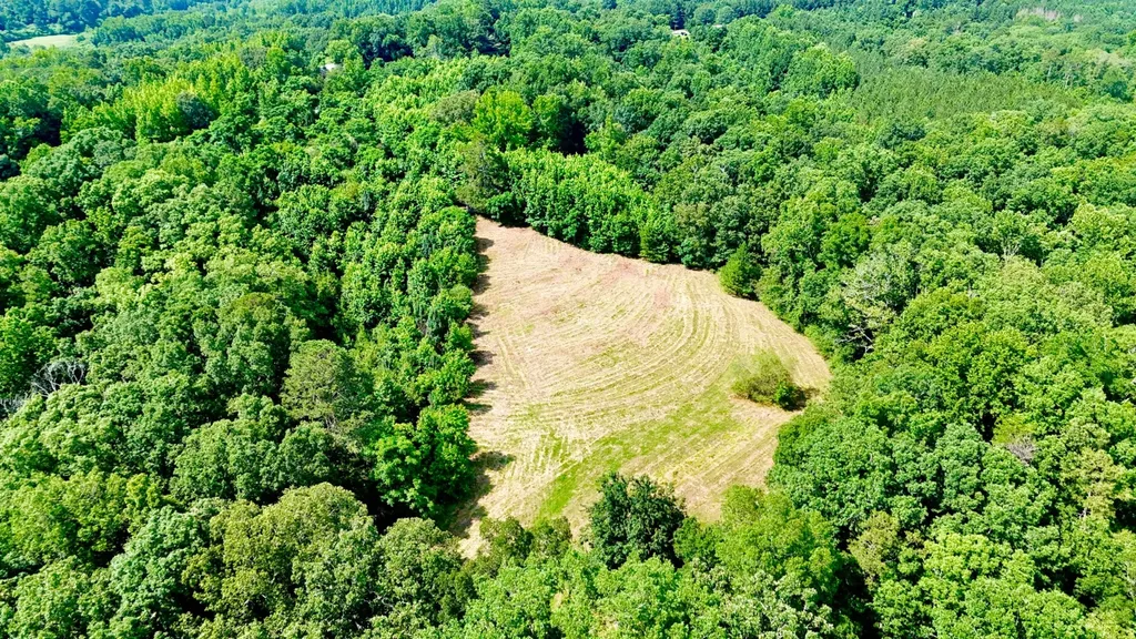 0 Bailey Road Double Springs AL 35553