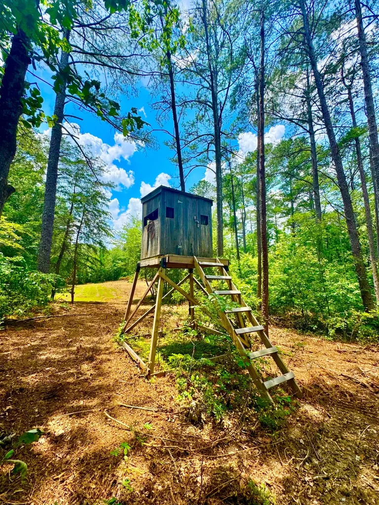 0 County Road 2 Double Springs AL 35553