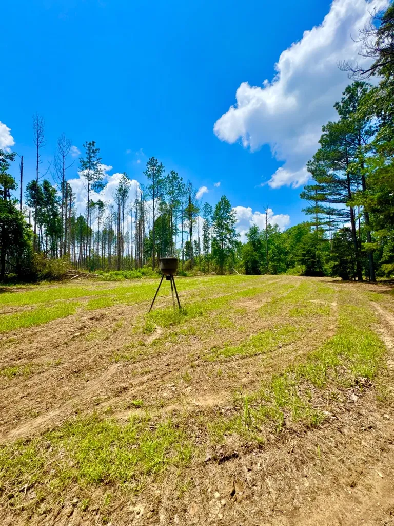 0 County Road 2 Double Springs AL 35553