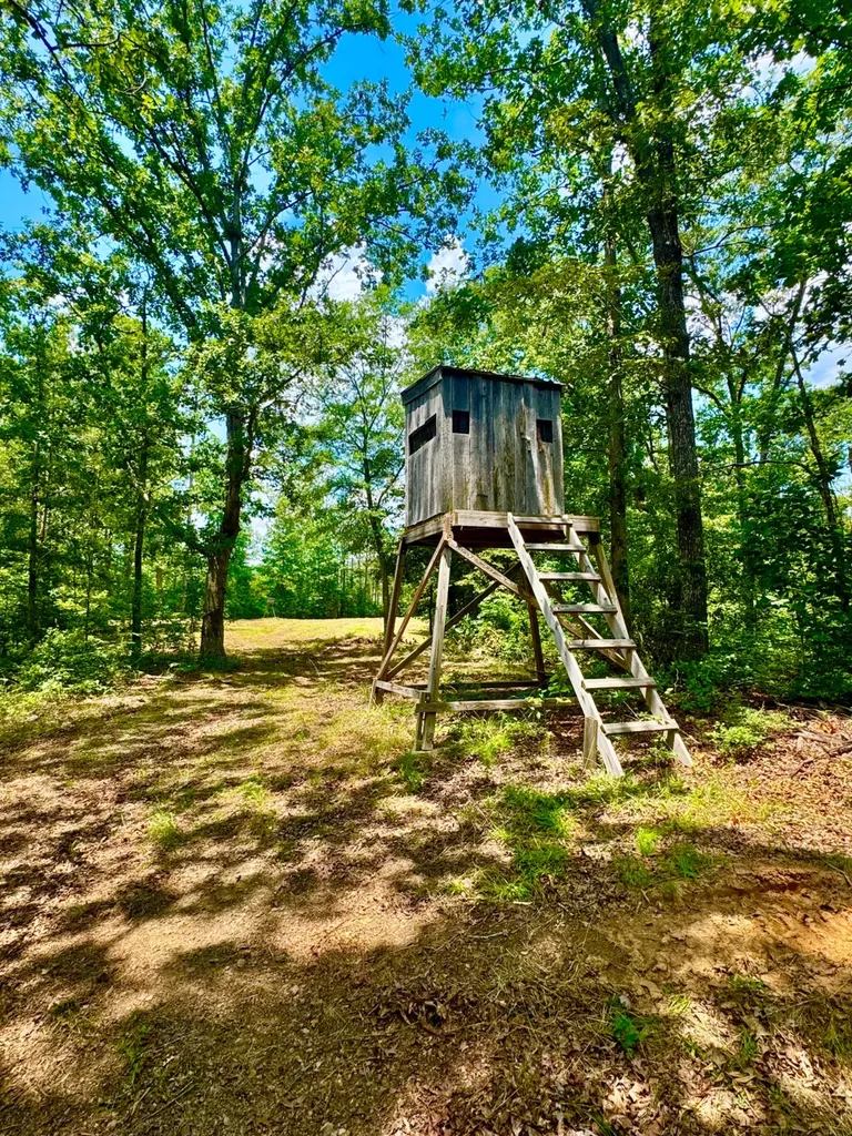 0 County Road 2 Double Springs AL 35553