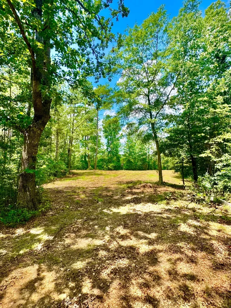 0 County Road 2 Double Springs AL 35553