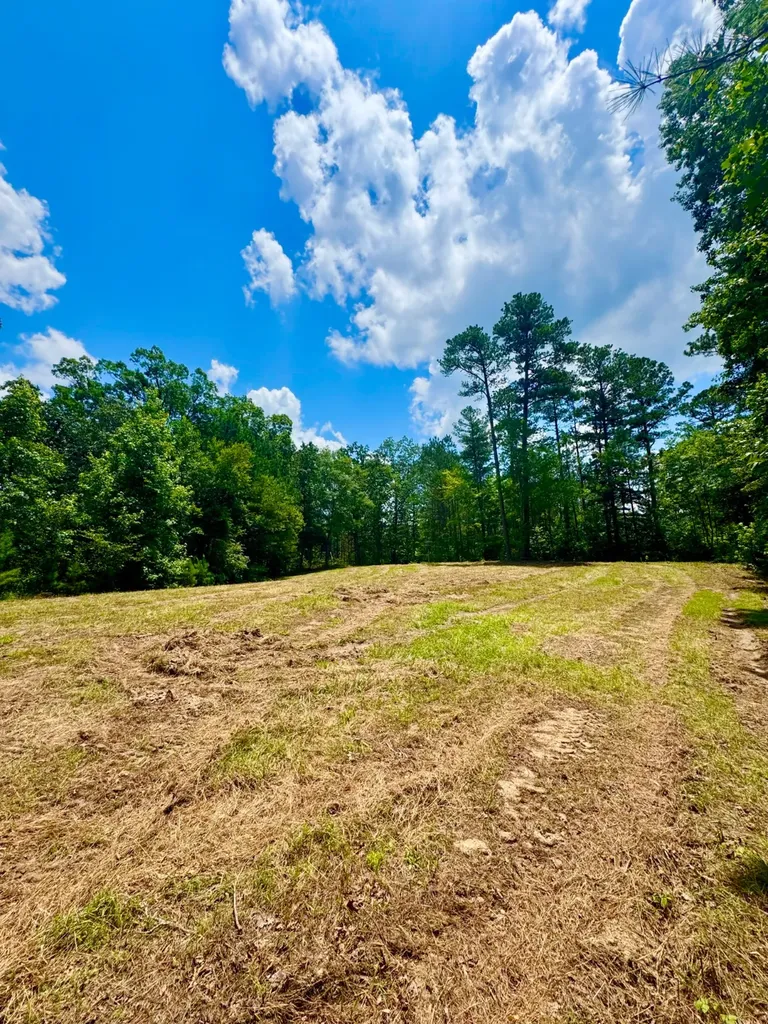 0 County Road 2 Double Springs AL 35553