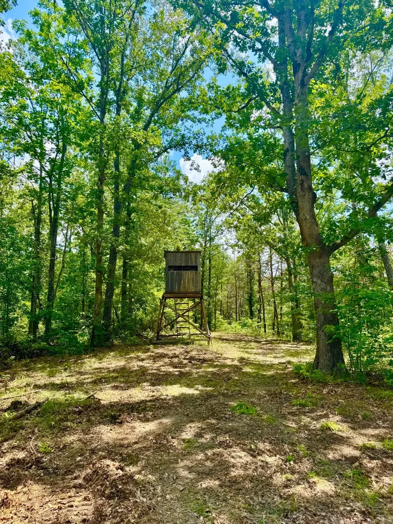 0 County Road 2 Double Springs AL 35553