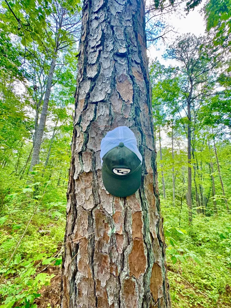 0 County Road 2 Double Springs AL 35553