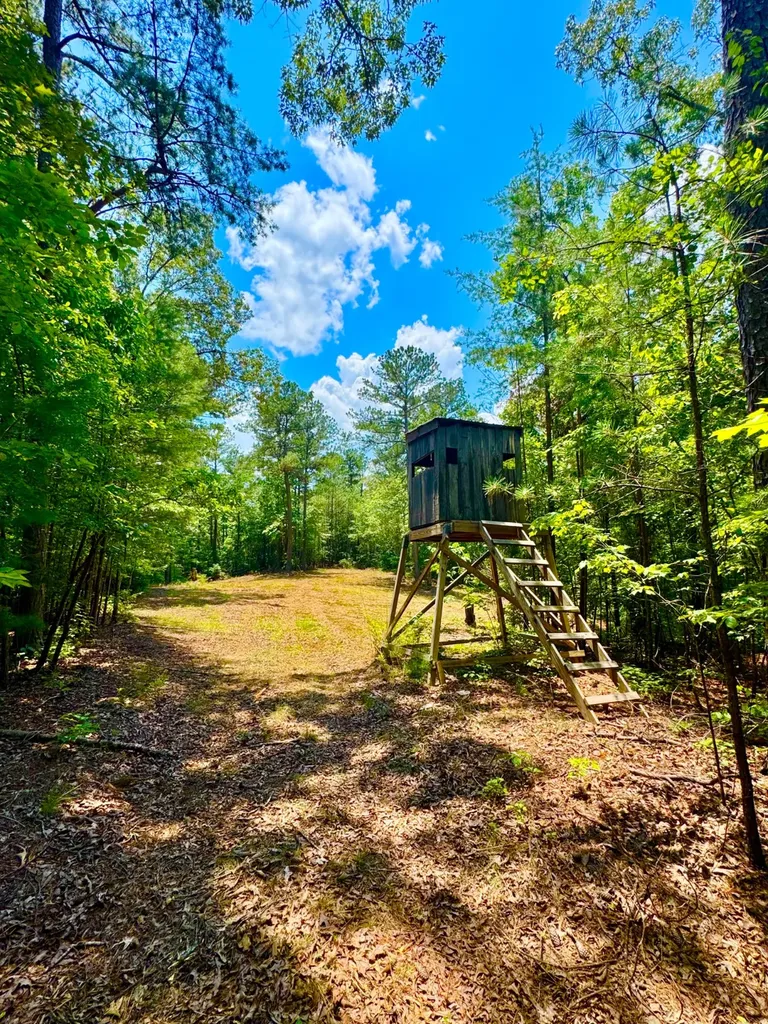 0 County Road 2 Double Springs AL 35553