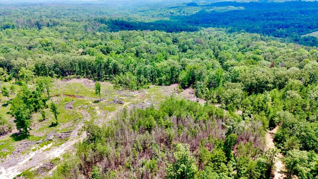 0 County Road 2 Double Springs AL 35553