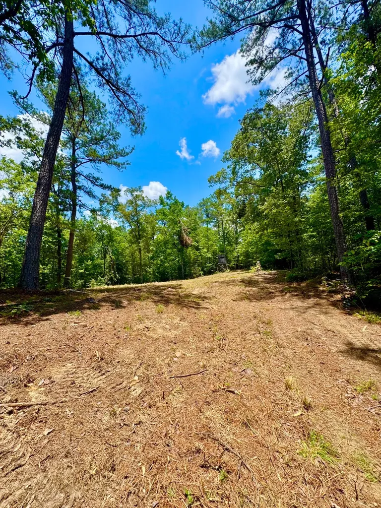 0 County Road 2 Double Springs AL 35553