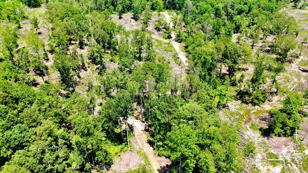 0 County Road 2 Double Springs AL 35553