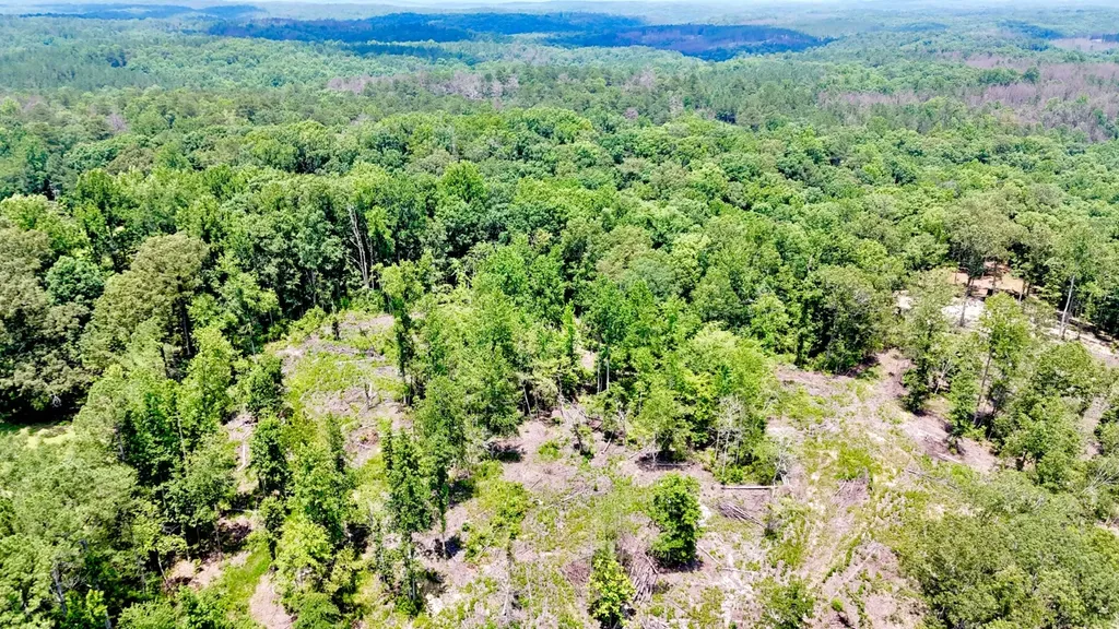 0 County Road 2 Double Springs AL 35553