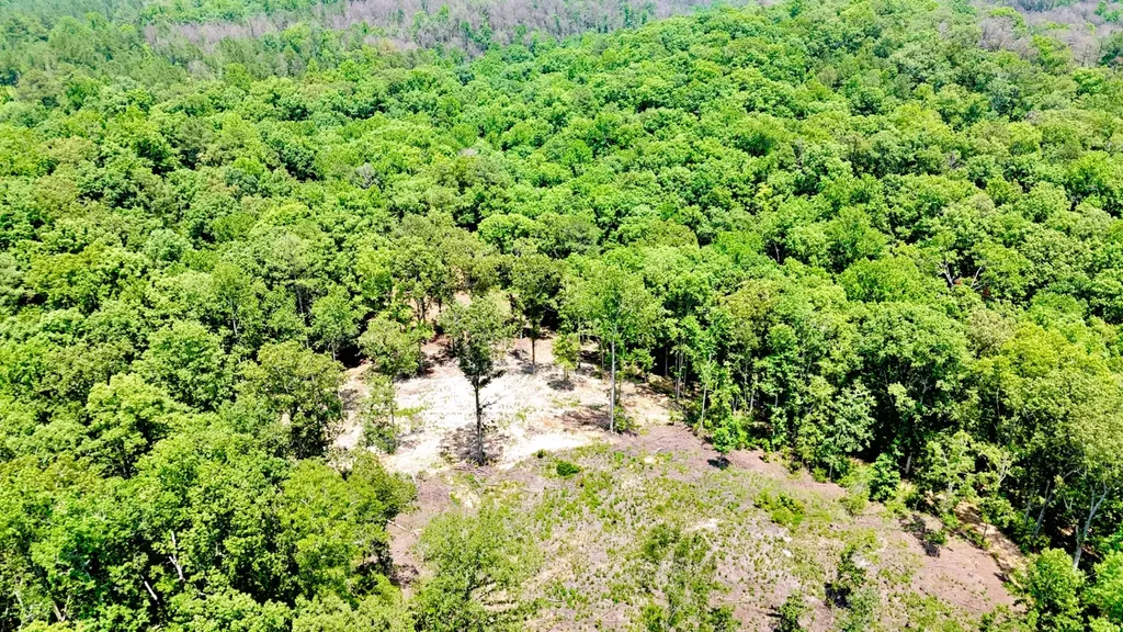 0 County Road 2 Double Springs AL 35553