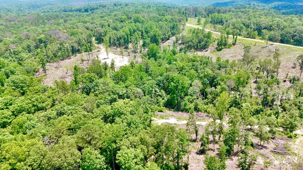 0 County Road 2 Double Springs AL 35553