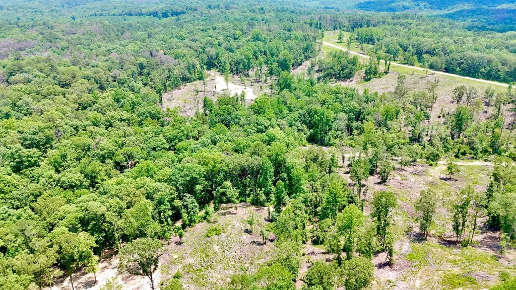 0 County Road 2 Double Springs AL 35553