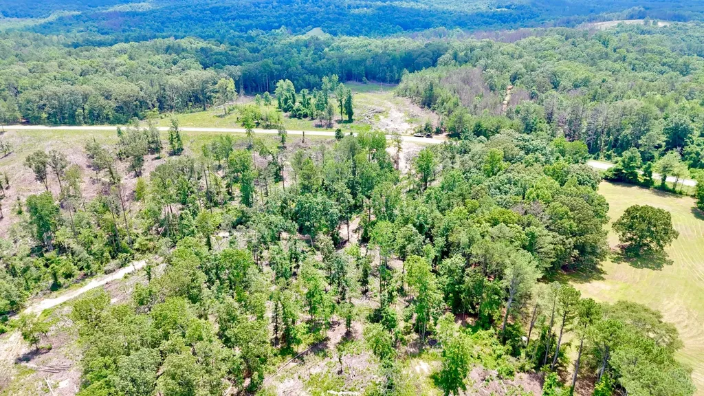 0 County Road 2 Double Springs AL 35553