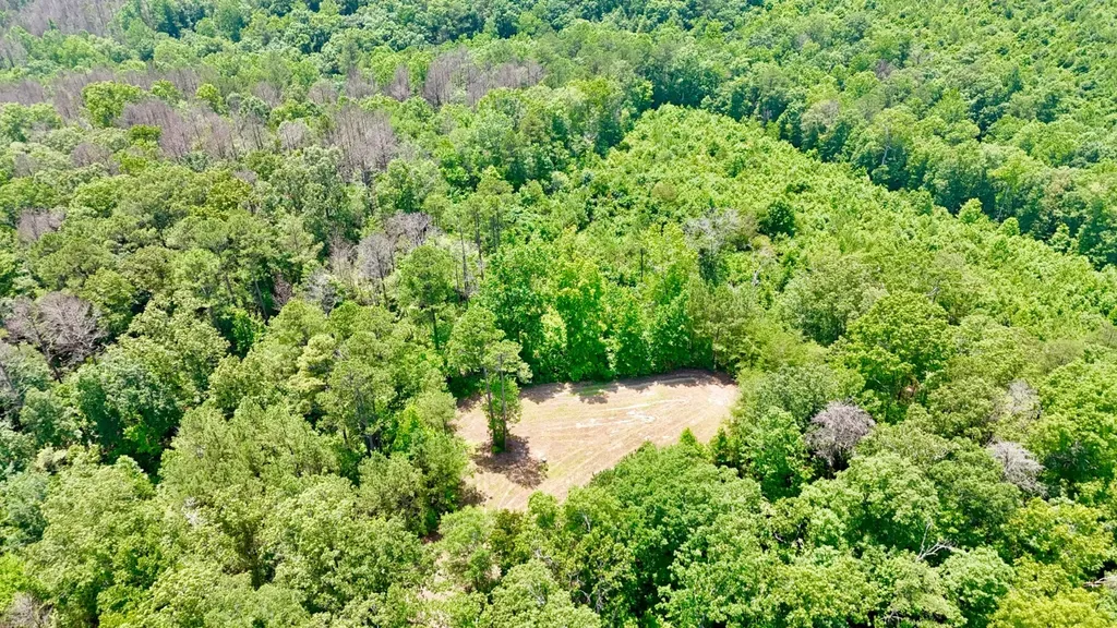 0 County Road 2 Double Springs AL 35553