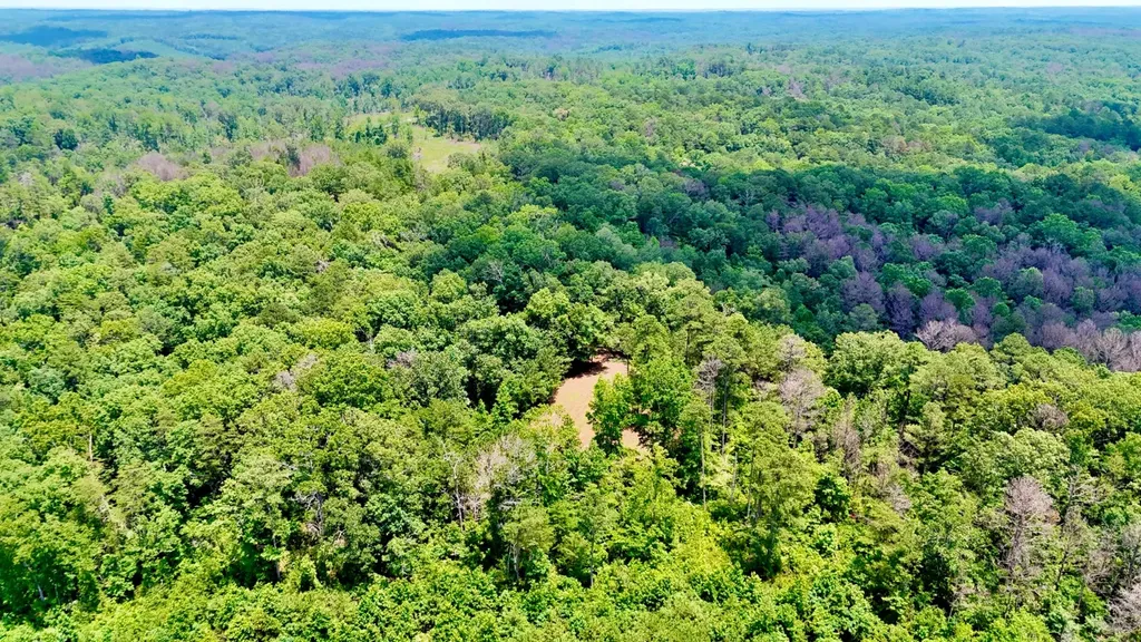 0 County Road 2 Double Springs AL 35553