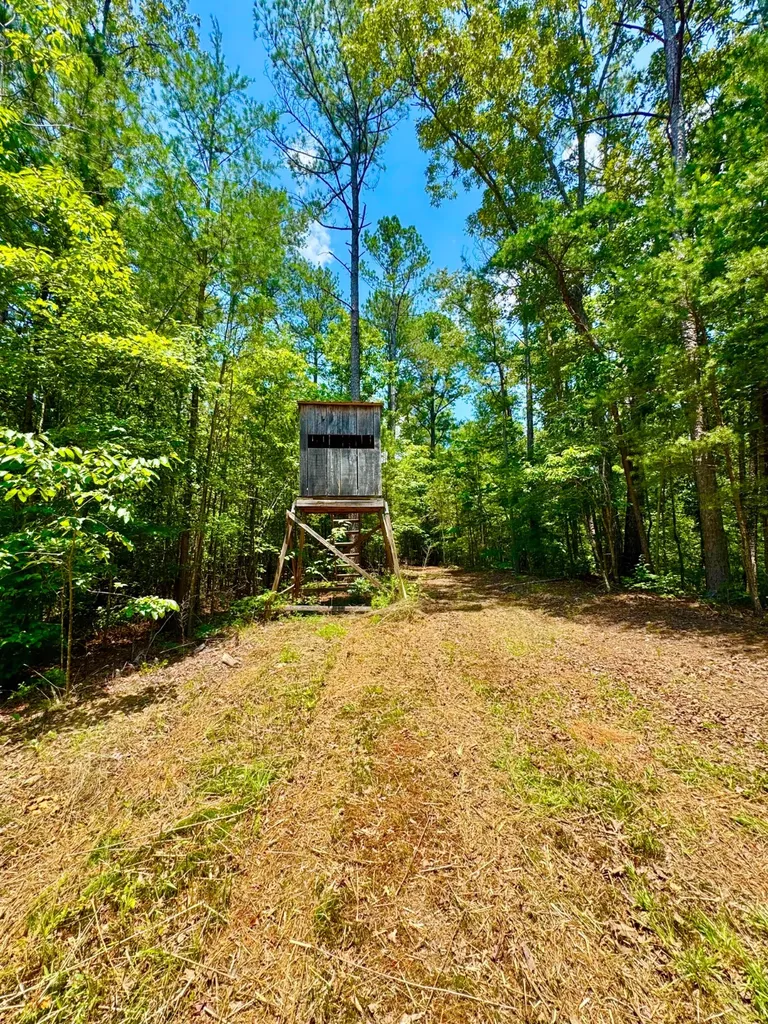 0 County Road 2 Double Springs AL 35553