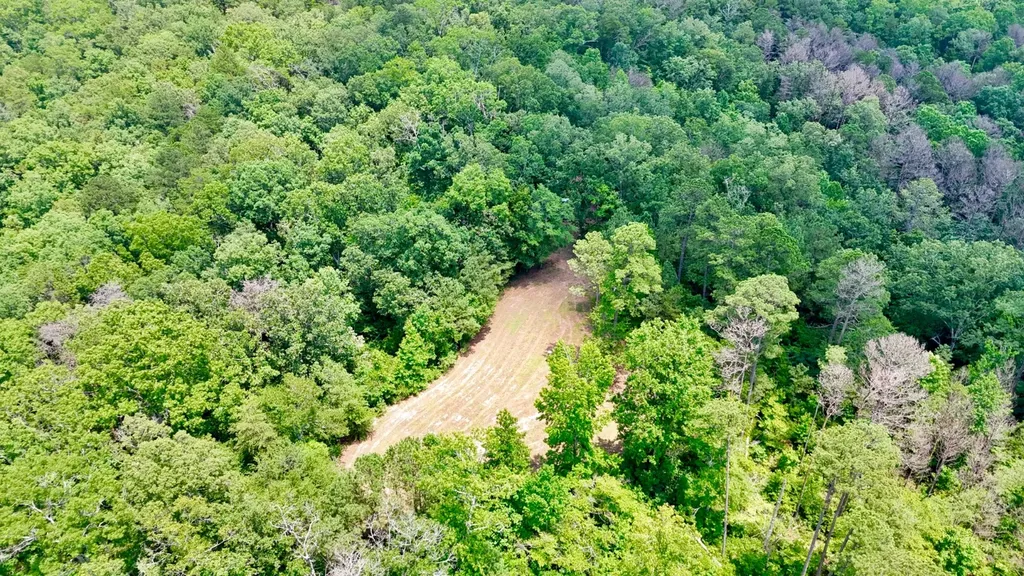 0 County Road 2 Double Springs AL 35553