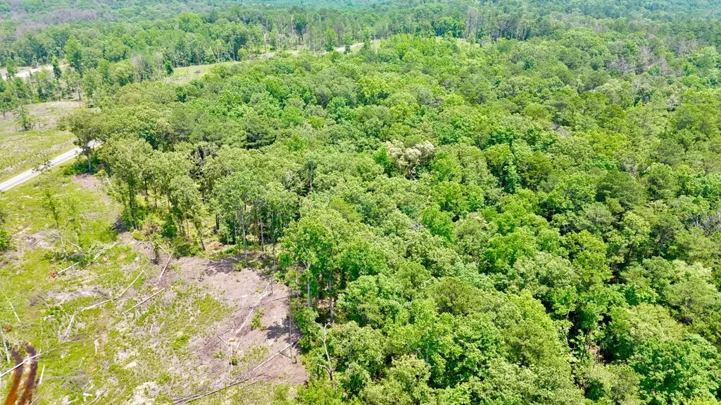 0 County Road 2 Double Springs AL 35553