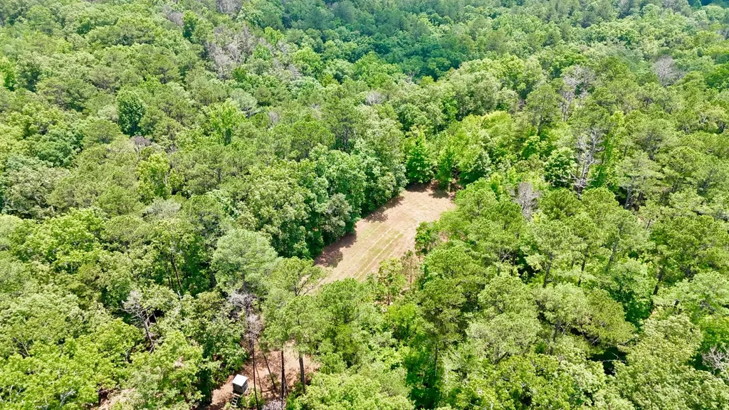 0 County Road 2 Double Springs AL 35553