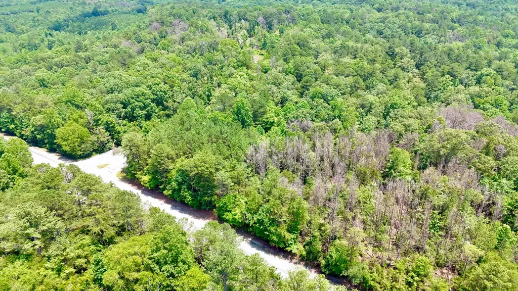 0 County Road 2 Double Springs AL 35553