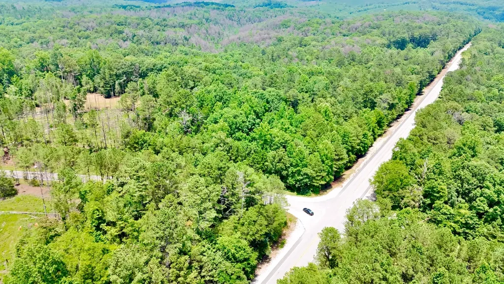 0 County Road 2 Double Springs AL 35553