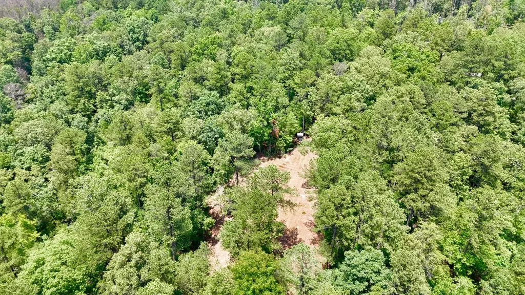 0 County Road 2 Double Springs AL 35553